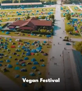 Vegan Festival in uk