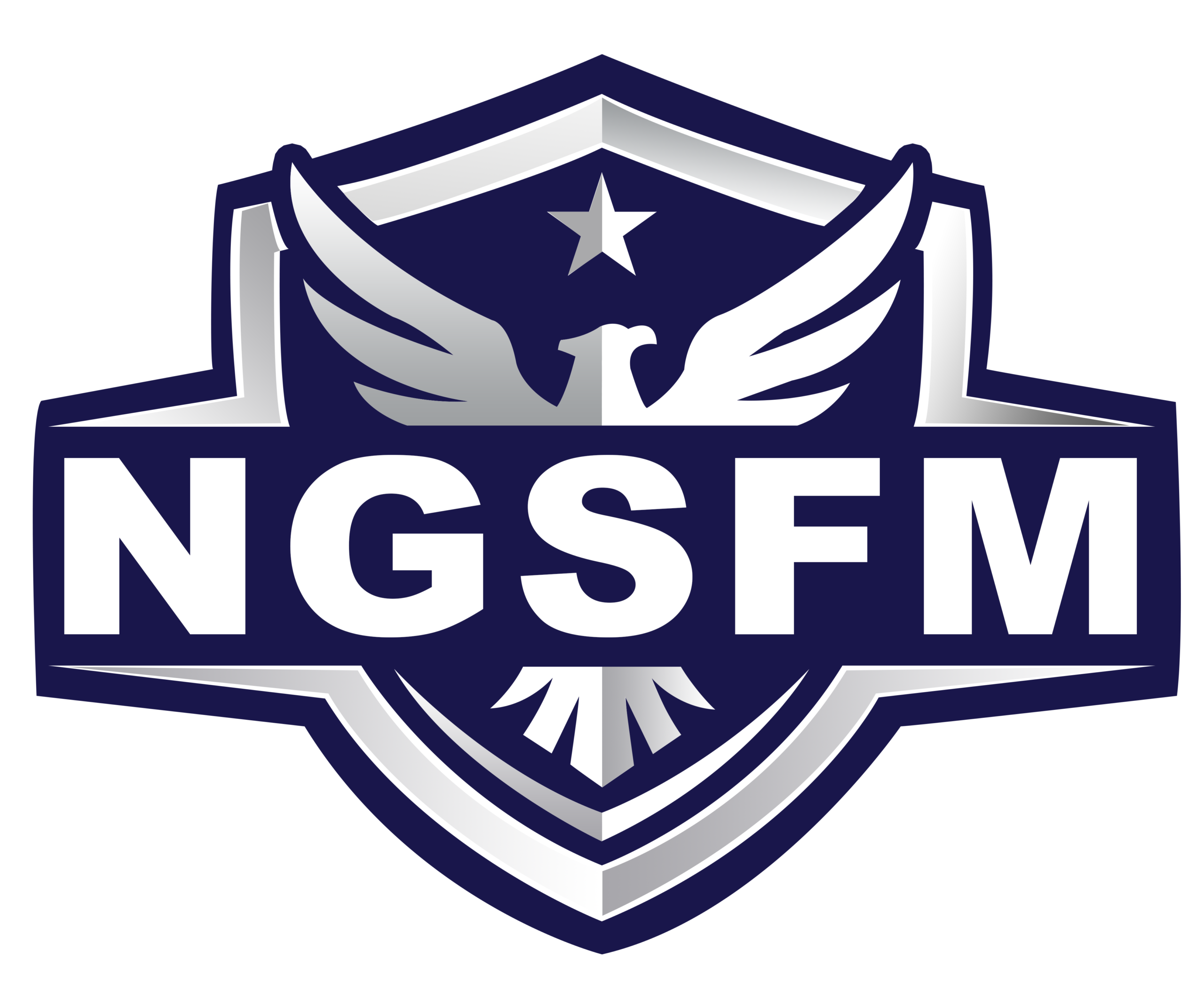 ngsfm Logo
